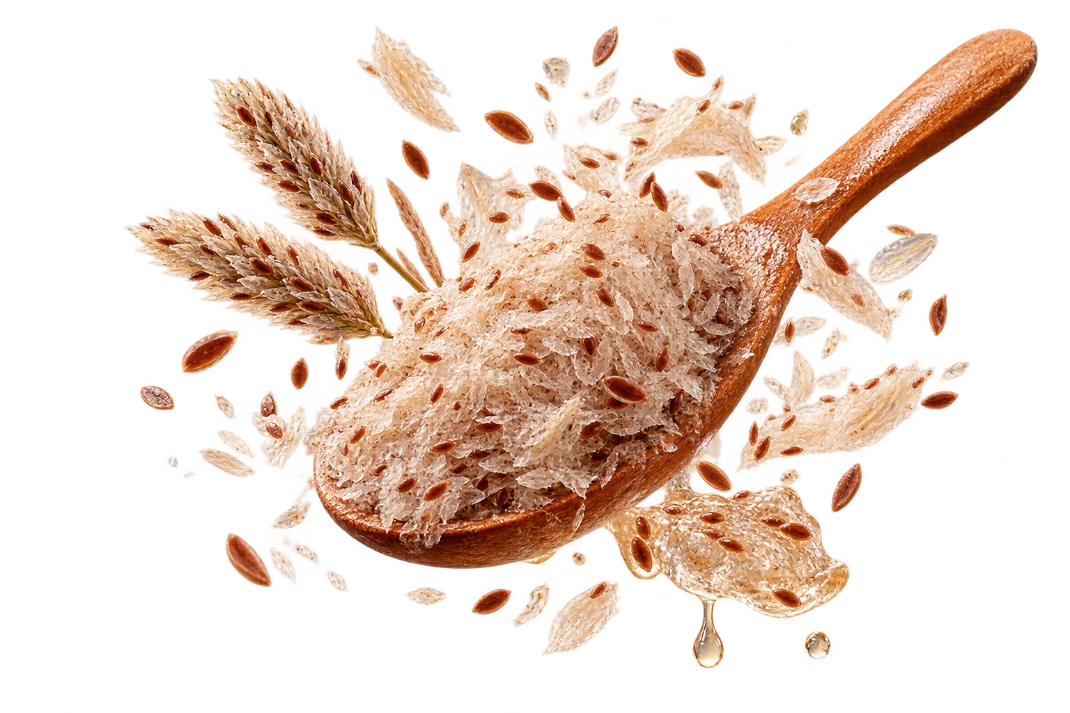 Psyllium
